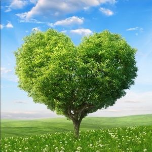 Meet your Posher, Hyun